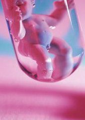 试管婴儿移植数量越多成功率就越高？