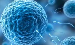 安徽助孕2026机构排名前十公布，附试管助孕筛选流程