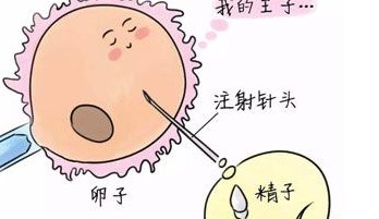 如何提高试管成功率，7个方法提高试管成功率