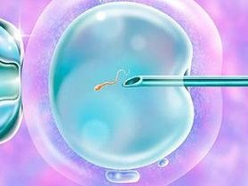 2026浙江温州口碑比较好的助孕公司名单