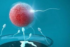 2026葫芦岛市最新男性陪产假有多少天？试管婴儿可以增加产假吗？