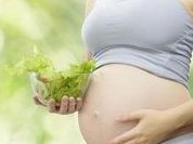 大连能做试管婴儿吗？大连试管婴儿费用大概要多少钱？