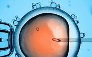 做第二代试管婴儿初次成功容易吗？