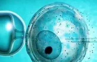 三代试管婴儿移植前可以吃东西吗？